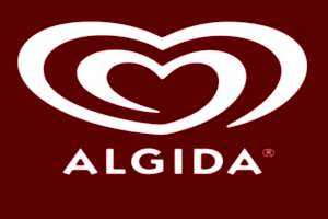 Algida Kayseri - Çatı Isıtma Sistemi - Kayseri